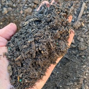 Garden Soil