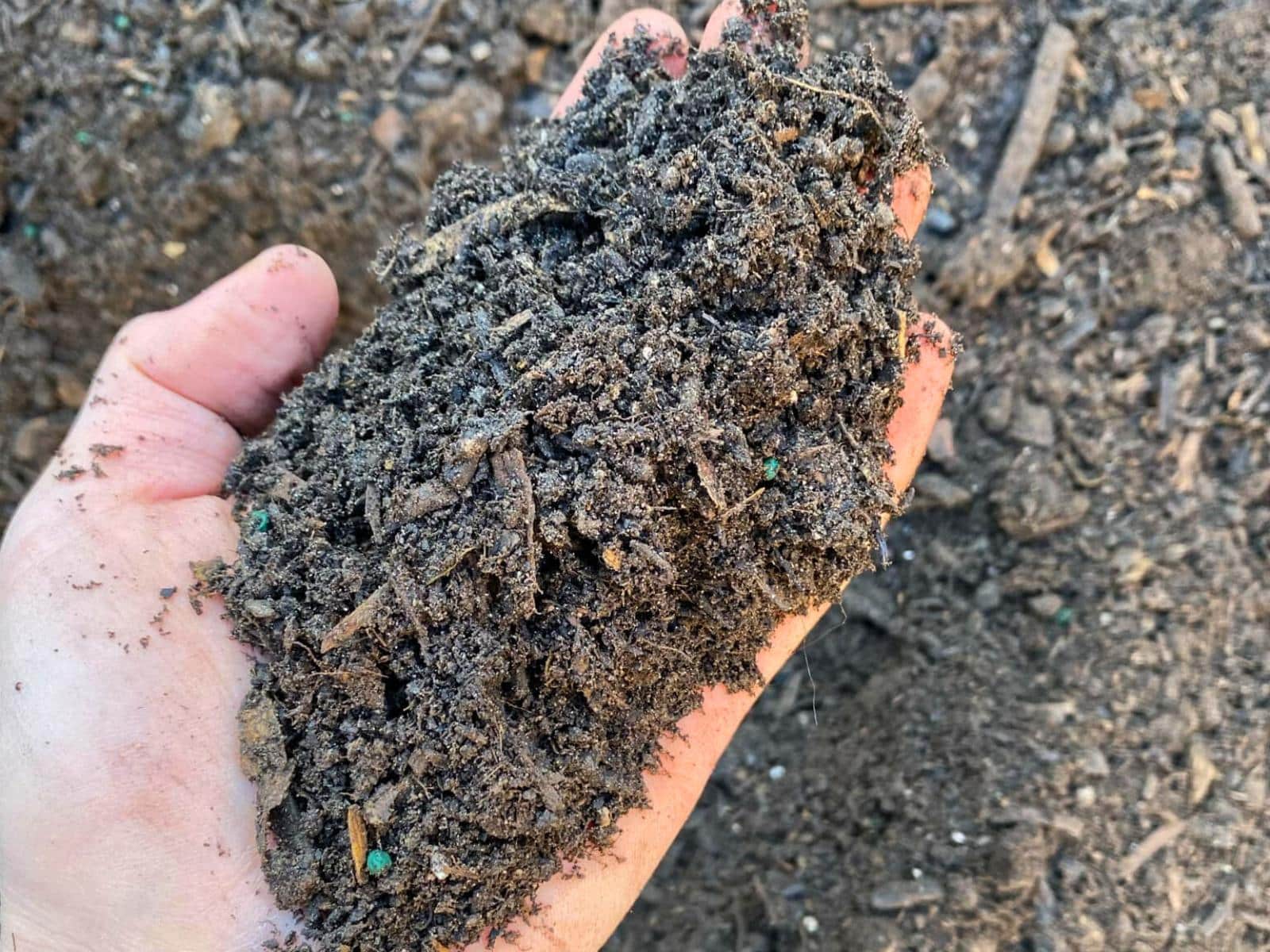 Garden Soil