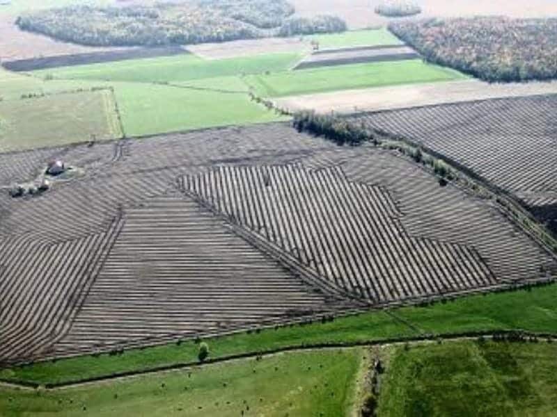 Subdrain Lines