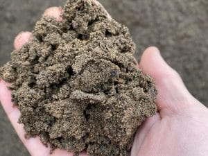 Premium Screened Lawn Blend