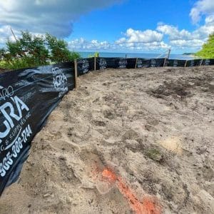 Silt Fence