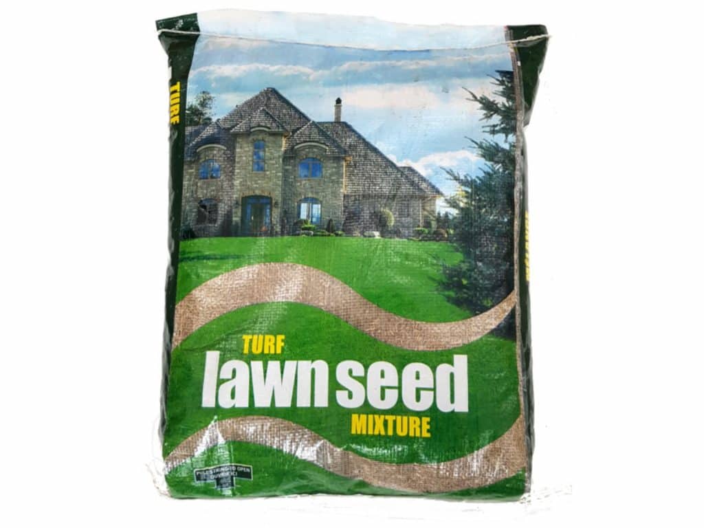 Grass Seed Bad Grass Seed Bad