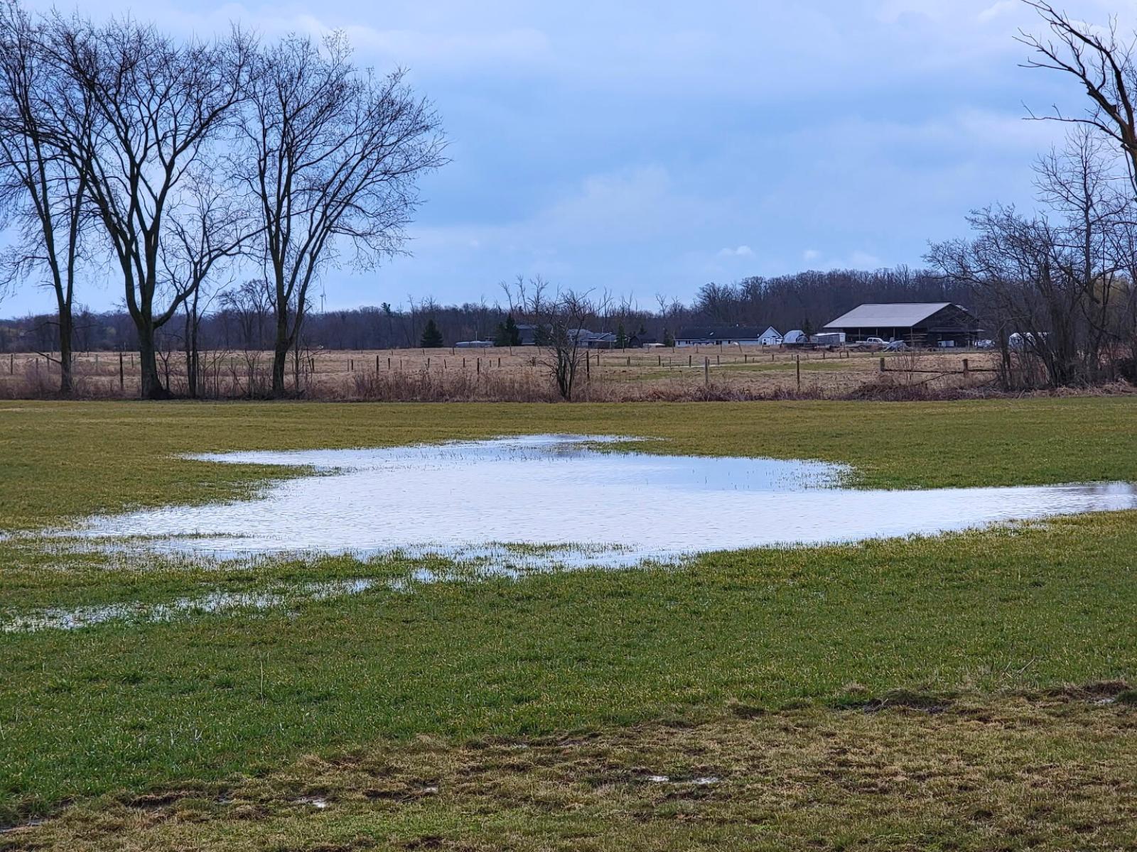 Flooded Farm Field