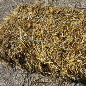 Erosion Control Hay