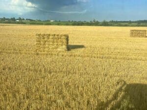 Erosion Control Hay Bundles