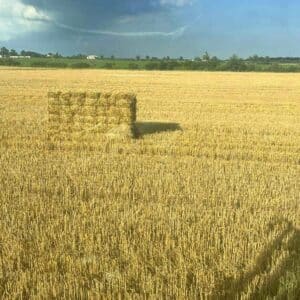 Erosion Control Hay Bundles