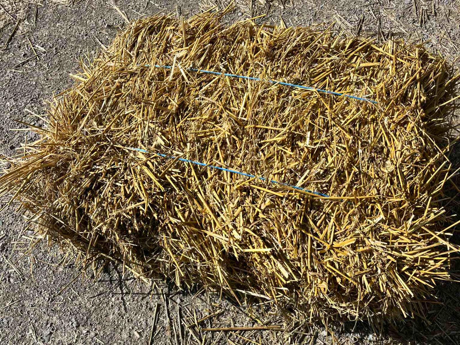 Erosion Control Hay