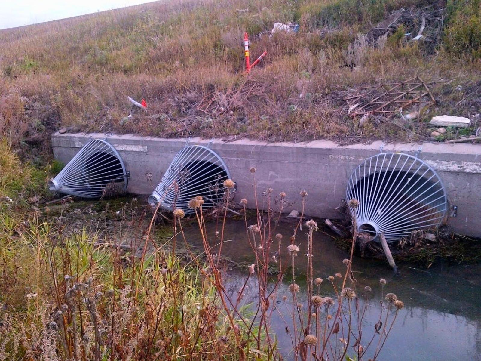 Culvert Beavercones